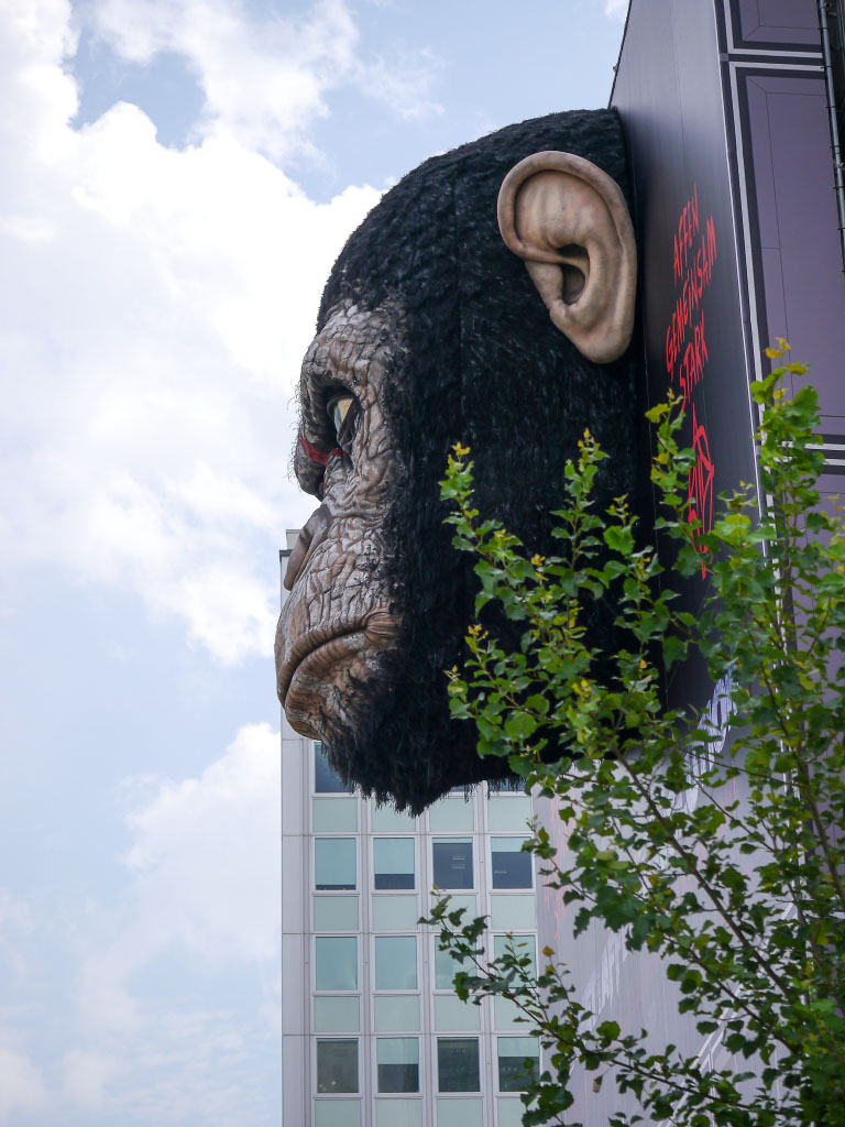 "Planet der Affen - Revolution" Riesige Werbung Alexanderplatz